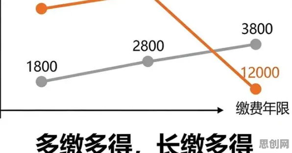 个人养老金制度的真相，长尾理论揭示了我们忽视的关键