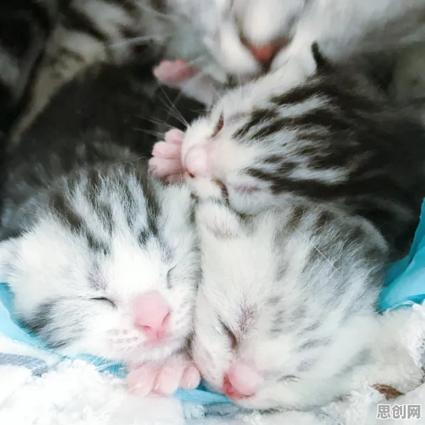 元气骑士，开放世界冒险全新资料片，安卓手机上的治愈之旅启程！