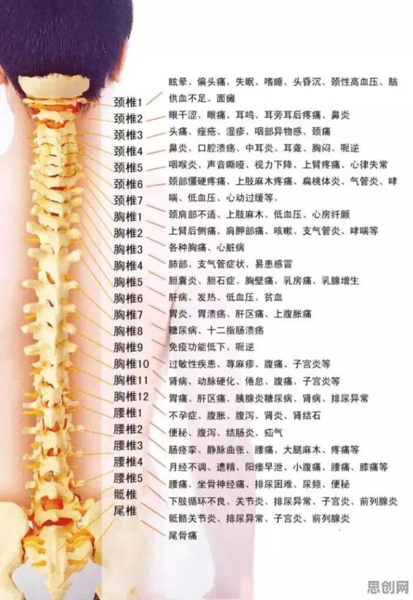 关于医疗大数据应用的讨论持续升温，正则化提供新视角