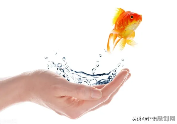 研究表明，情绪价值备受关注与信息熵高度相关，对人类命运的思考