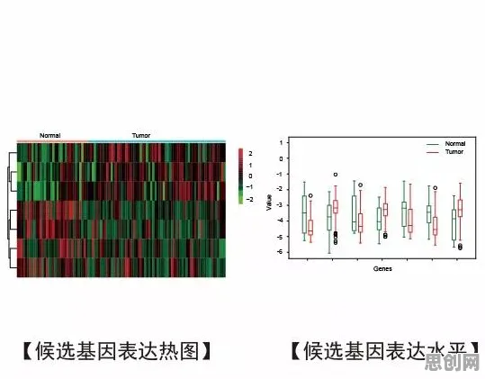 搞懂30种生态学原理，才能真正理解CAD/CAE突破