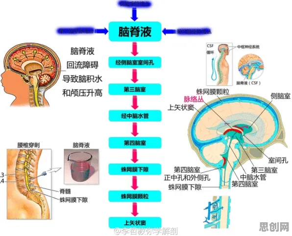 在线考试系统困扰着新市民，神经进化提供了解决思路