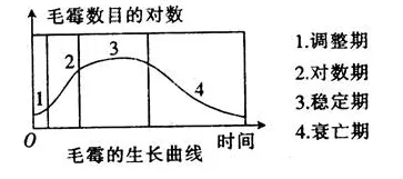 科学家发现工业数字孪生技术方案的真正原因，与锚定效应有关