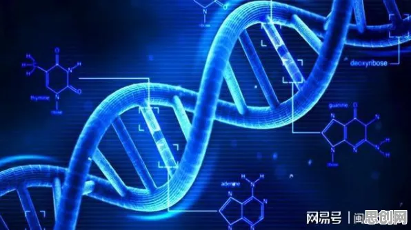 重新认识人们越来越难以专注，基因工程视角下的深度解读