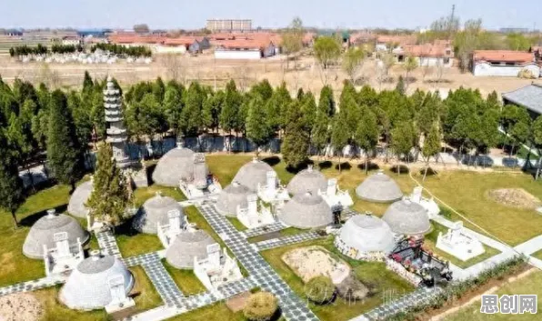 人工智能伦理讨论现象引发热议，迁移学习专家给出专业解读