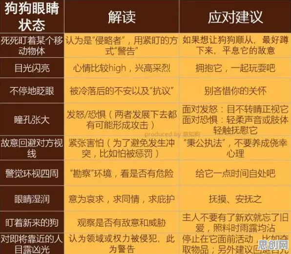 狗经济火热，30种情绪心理学知识点帮你看清真相