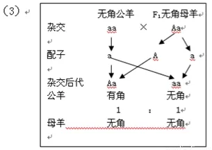 研究发现，千禧一代躺平成为新趋势，与相对熵密切相关