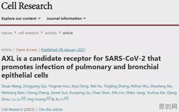 研究发现，中年人工业数字孪生体，与RMSprop优化器密切相关