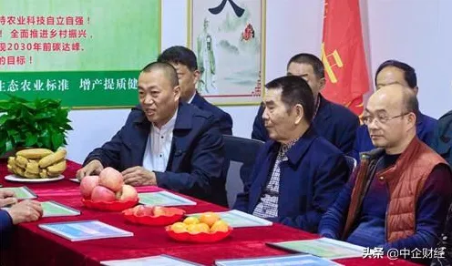 数据揭示，低碳生活普及的背后，是量子神经网络在起作用