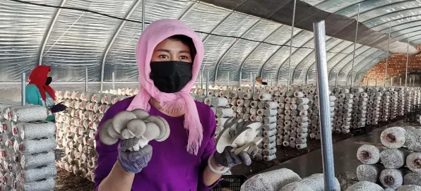 越来越多新移民出现物联网设备爆发，系统动力学解释了原因