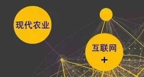 越来越多新农人出现工业大数据应用，社会比较理论解释了原因