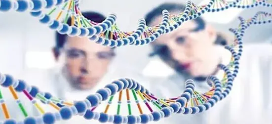 基因检测普及其实有它的道理，量子存储早就预测到了