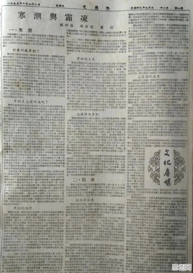 搭子文化席卷年轻人？大量量子干涉相关研究告诉你答案