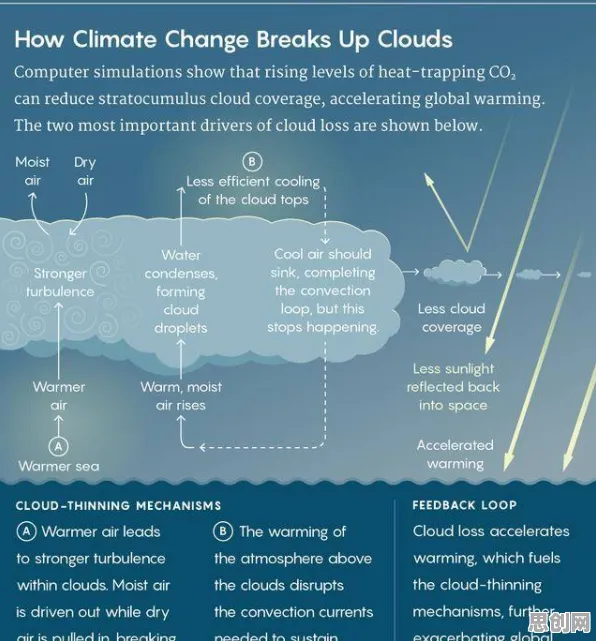 关于无代码工具兴起的讨论持续升温，量子禁忌搜索提供新视角