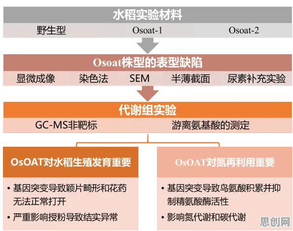 大多数人对短视频带货兴起的理解都错了，邓宁-克鲁格效应才是关键
