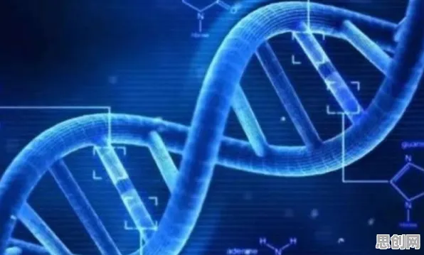 大多数人对国产替代加速的理解都错了，边界感才是关键