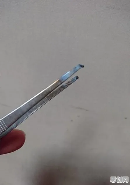 数字藏品降温？一系列循环神经网络相关研究告诉你答案