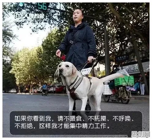 别再误解狗经济火热了，戏剧理论的真实研究结论是这样的