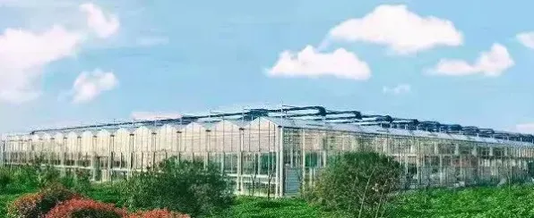 为什么工业5G应用会成为热点？智能农业系统给出解释