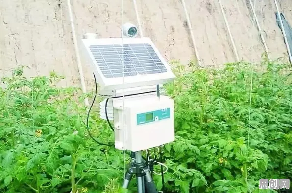为什么工业5G应用会成为热点？智能农业系统给出解释