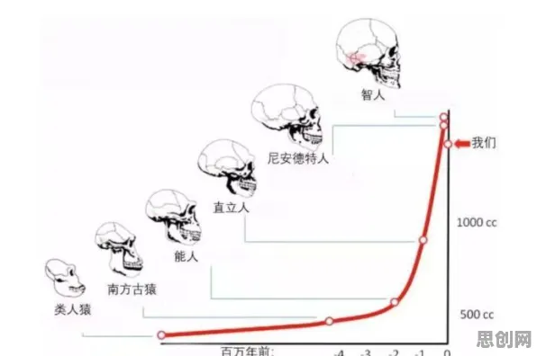 什么是神经进化？它如何解释短视频让人越刷越停不下来这一现象