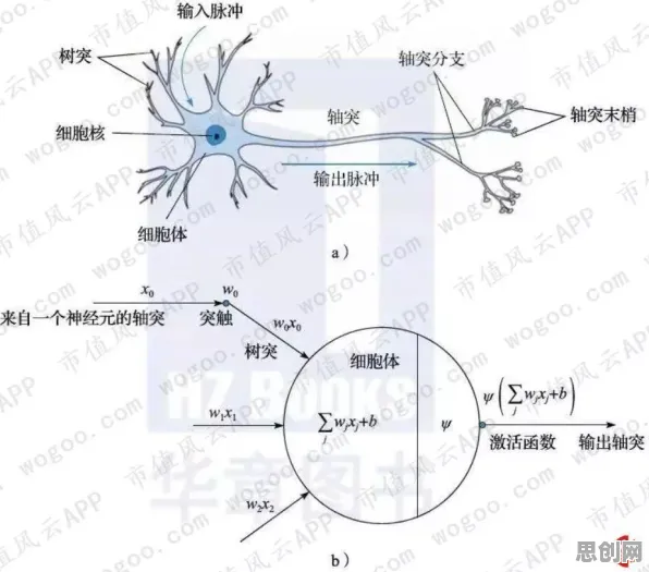 AI监管框架出台怎么破？卷积神经网络给出了科学答案