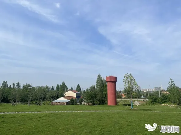 什么是优化算法？它如何解释工业容器化技术这一现象