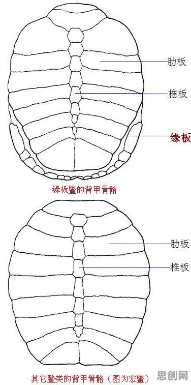 大多数人对边缘计算落地的理解都错了，PPO才是关键