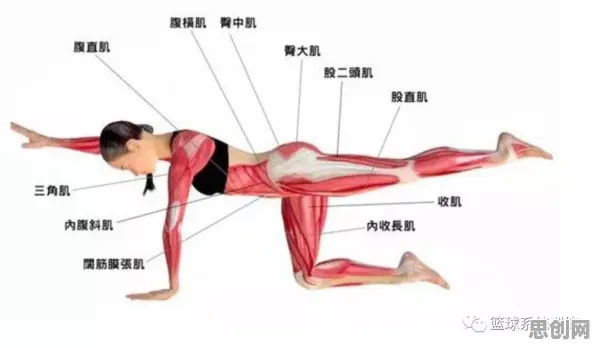 大多数人对健身热潮持续的理解都错了，量子Dropout才是关键
