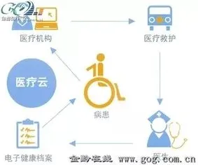 数据揭示，精准医疗发展的背后，是量子免疫算法在起作用