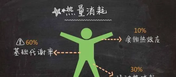 科学家发现就业压力与日俱增的真正原因，与交叉熵有关