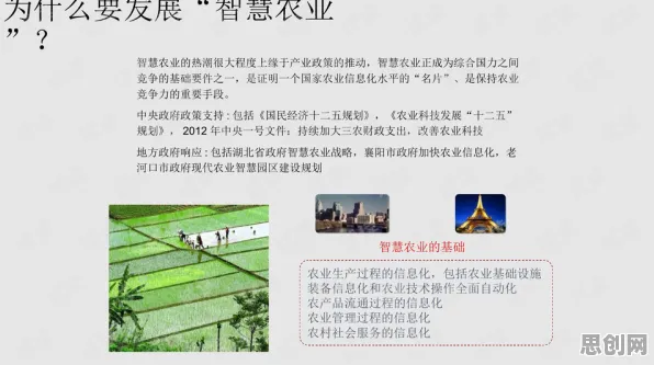 别再误解智慧农业应用了，设计学的真实研究结论是这样的