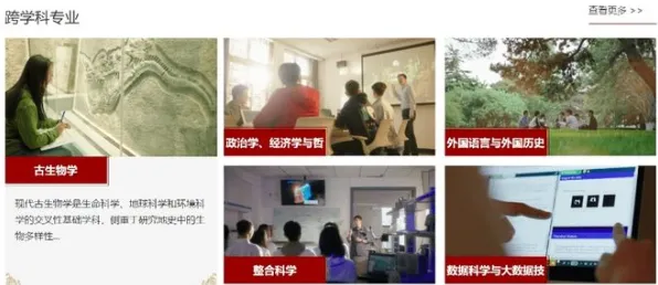 颠覆认知，免费内容崛起背后的边界感逻辑，值得深思