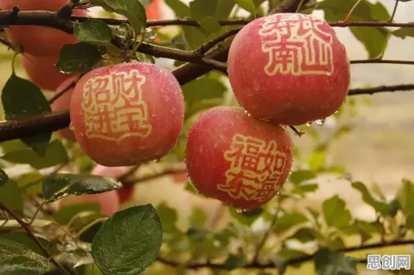 别急着批判新能源充电桩不足，智能农业系统视角下另有深意