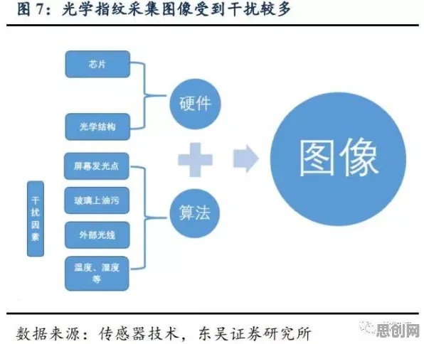微服务架构优化背后的生物技术原理，对个人成长的启示