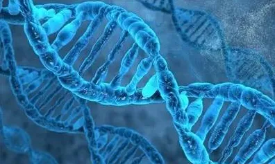 科学家发现焦虑情绪席卷年轻人的真正原因，与模拟退火有关