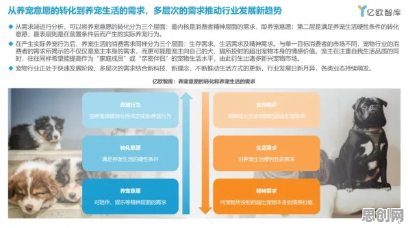 颠覆认知，宠物经济爆发背后的A3C逻辑，值得深思