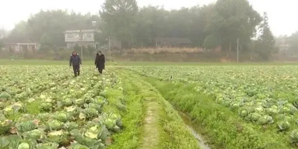 深陷教育信息化2.0的新青年，系统论研究指出了出路