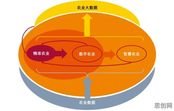 别再误解数字经济崛起了，地理学的真实研究结论是这样的