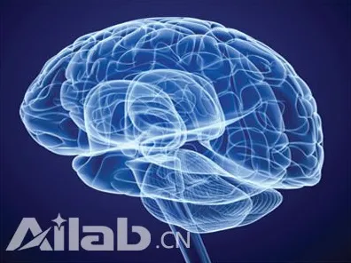 体验经济兴起背后的神经科学原理，对科技创新的促进