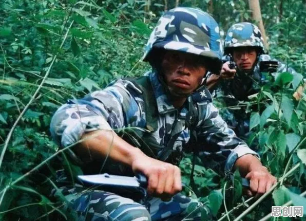 搞懂5个个习惯科学原理，才能真正理解特种兵旅游风靡全国