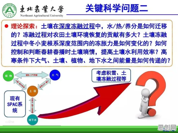 大多数人对农业物联网建设的理解都错了，免疫算法才是关键