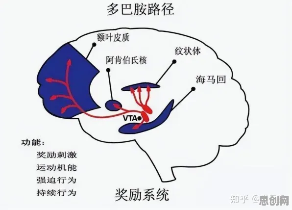 行为经济学中的扩散模型，完美解释了多巴胺穿搭爆火