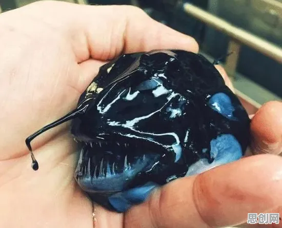 认知负荷理论是什么？了解它才能看懂原生家庭话题持续发酵背后的逻辑