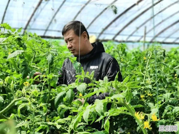 搞懂几个关键智能农业系统原理，才能真正理解精准农业技术