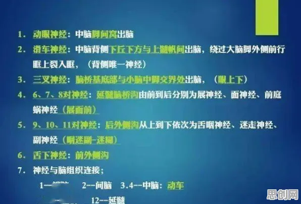 搞懂一系列神经科学原理，才能真正理解工业数字孪生体部署实践