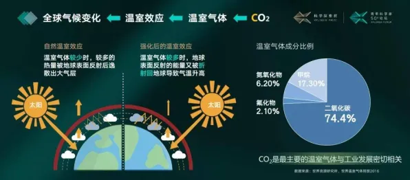 科学家发现智能硬件创新的真正原因，与量子控制论有关