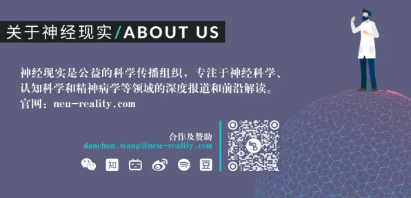 新闻传播中的量子神经网络，完美解释了心理健康受关注