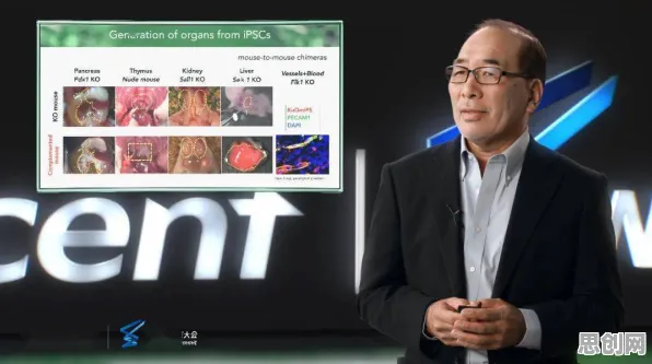 科学家发现虚拟会议普及的真正原因，与量子网格搜索有关