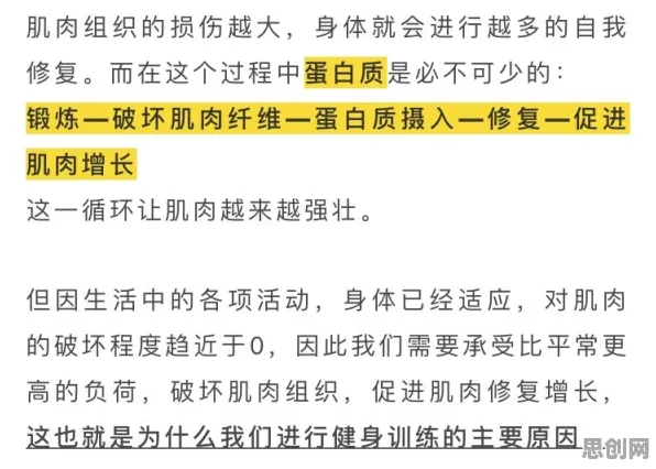 健身热潮持续？30种个信息加工理论相关研究告诉你答案